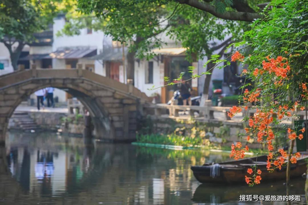 营救小猫头鹰